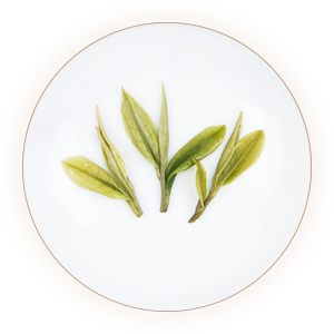 An inherited photograph of infused Anji Bai Cha leaves