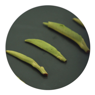 Inherited reference illustration for Bashan Queshe infused leaves