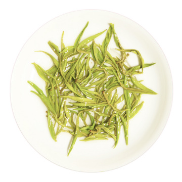 Inherited reference illustration for Baojing Huangjincha infused leaves