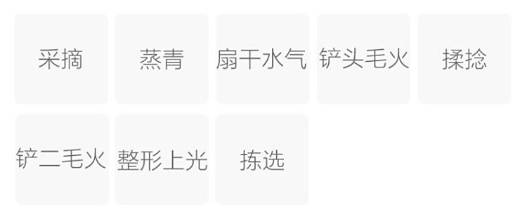 Original Chinese-labelled Baokang Songzhen process illustration