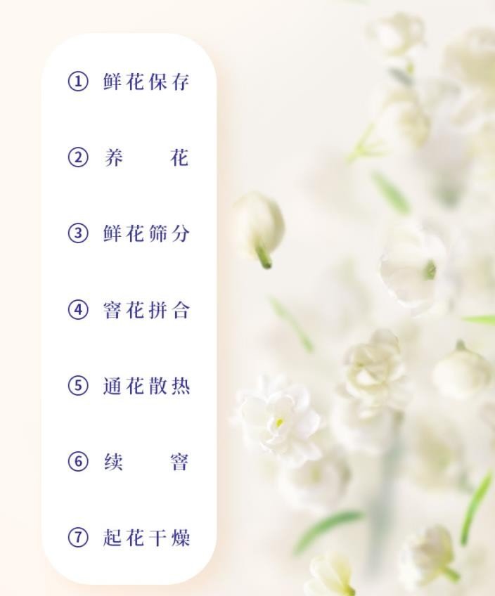 Original Chinese-labelled Bitan Piaoxue process illustration