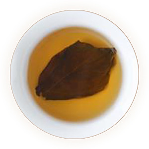 Inherited reference illustration for Dingxiang Leaf Tea infused leaves