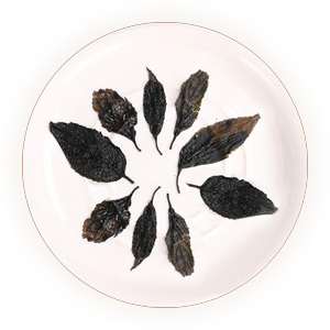 Inherited reference illustration for Eucommia Leaf Tea infused material