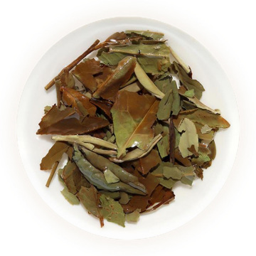An inherited reference photograph of infused Gongmei leaves