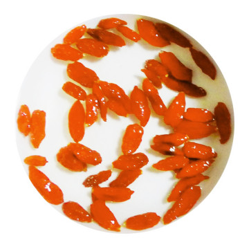 Inherited reference illustration for Goji Berry Infusion infused material