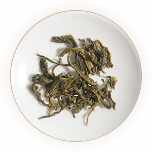 Inherited reference illustration for Guangdong Dayeqing infused leaves