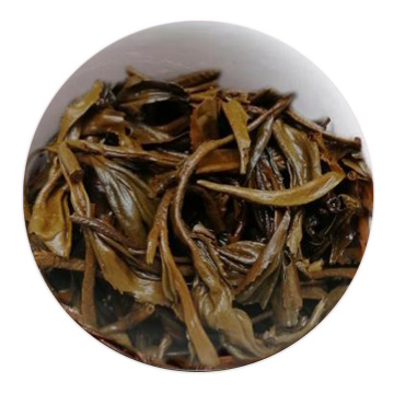 Inherited reference illustration for Guihong Gongfu infused leaves