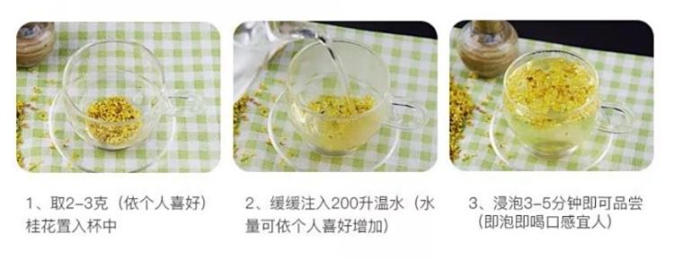 Original Chinese-labelled Osmanthus Tea brewing illustration with English conditions