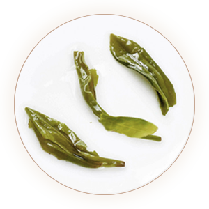 Inherited reference illustration for Hanzhong Chaoqing infused leaves