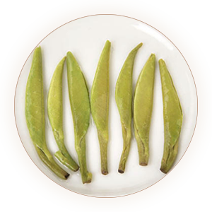 Inherited reference illustration for Hanzhong Xianhao infused leaves