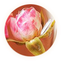 Inherited reference illustration for Jinbian Rose Tea infused material