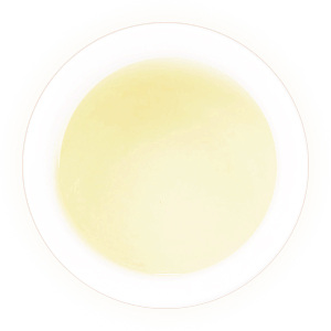 Inherited reference illustration for Large-leaf Kuding Tea tea liquor