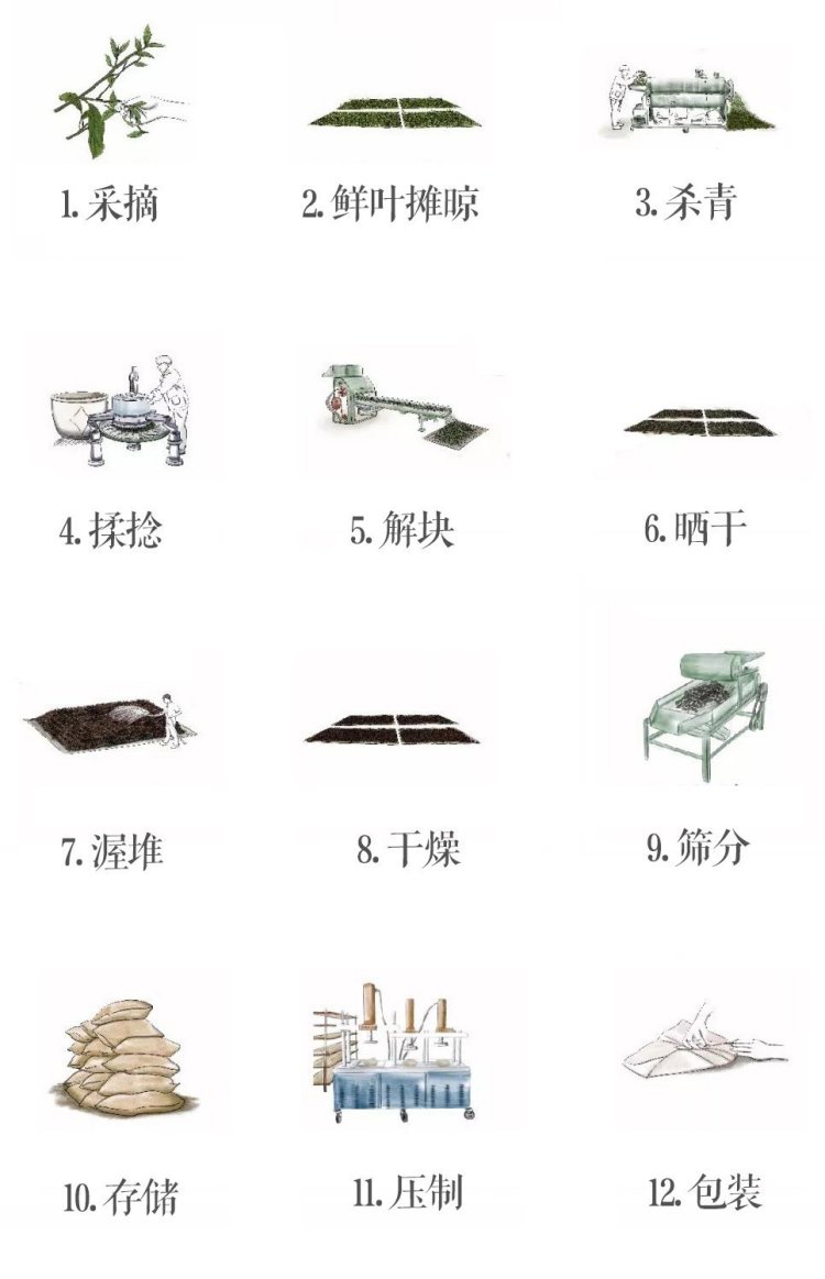 Original Chinese-labelled Laoman’e Pu-erh process illustration