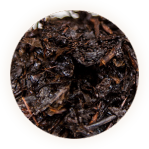Inherited reference illustration for Laoqing Tea and Qing Brick infused leaves