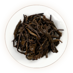 Inherited reference illustration for Liubao Tea infused leaves