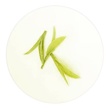 Inherited reference illustration for Longzhong Tea infused leaves