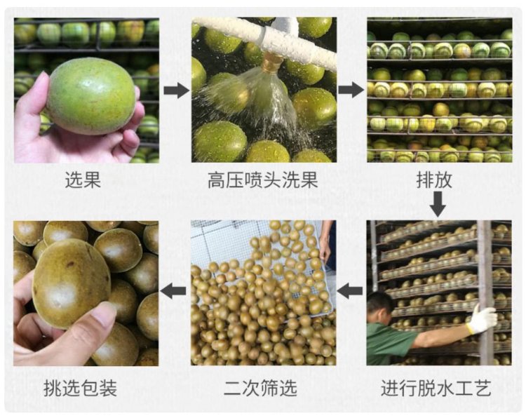 Original Chinese-labelled Monk Fruit Tea process illustration