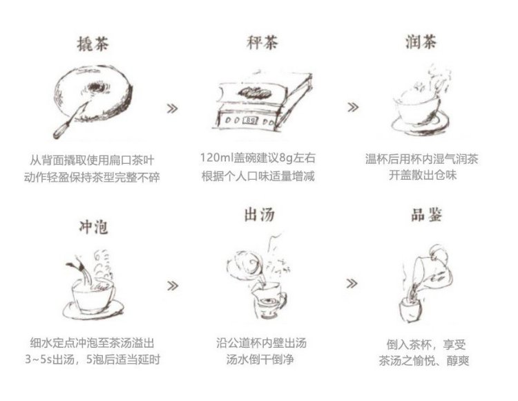 Original Chinese-labelled Manxiliang Pu-erh brewing illustration with English conditions