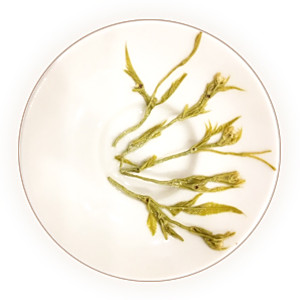 Inherited reference illustration for Meicha Vine Tea infused material