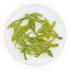 An inherited photograph of infused Mengding Ganlu leaves