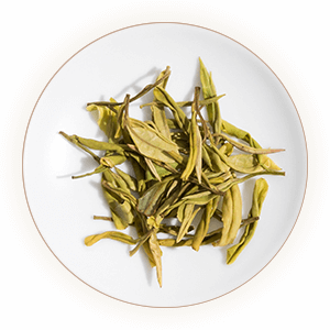 Inherited reference illustration for Mogan Huangya infused leaves