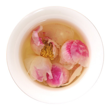 Inherited reference illustration for Peony Flower Tea infused material
