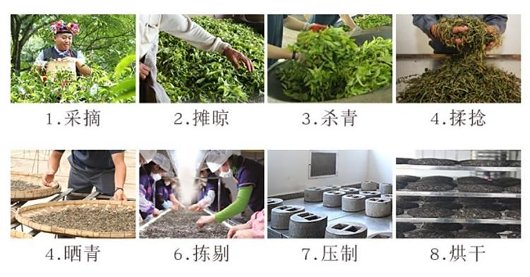 Original Chinese-labelled Naka Pu-erh process illustration