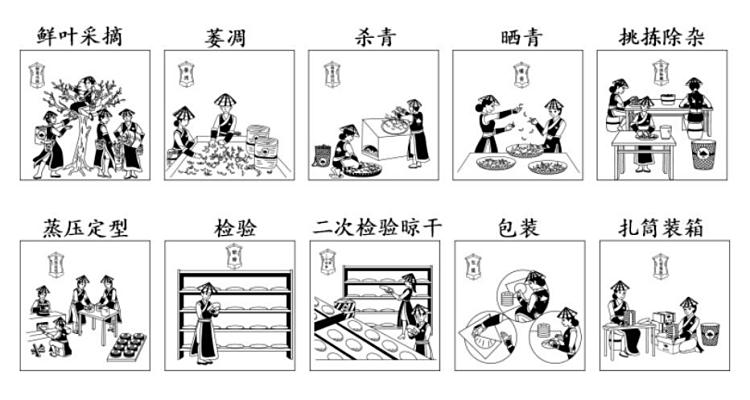 Original Chinese-labelled Nannuoshan Pu-erh process illustration