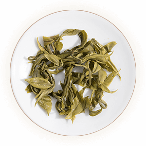 Inherited reference illustration for Pingshui Zhucha infused leaves