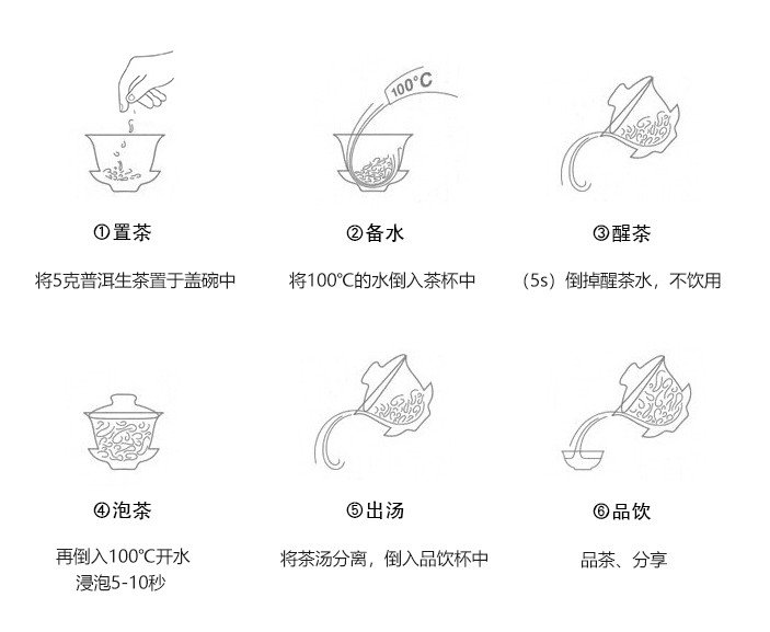 Original Chinese-labelled Sheng Pu-erh brewing illustration with English conditions