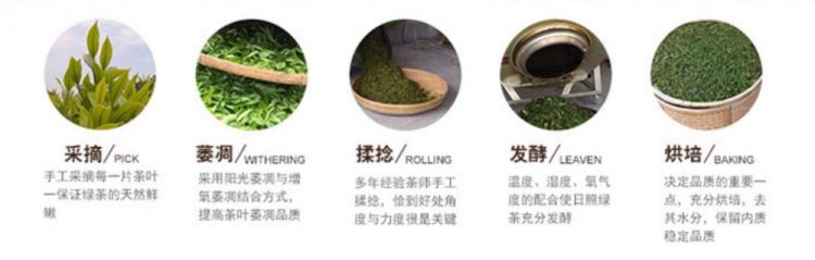 Original Chinese-labelled Rizhao Black Tea process illustration