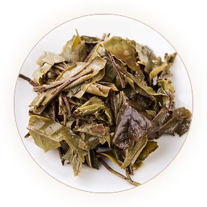 An inherited reference photograph of infused Shoumei leaves