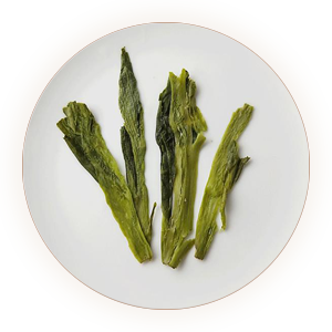 An inherited photograph of infused Taiping Houkui leaves