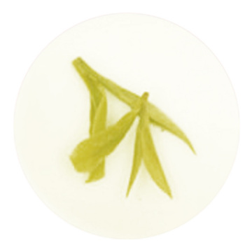 Inherited reference illustration for Tianmu Qingding infused leaves