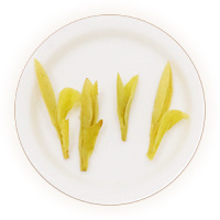 Inherited reference illustration for Tiantai Huangcha infused leaves
