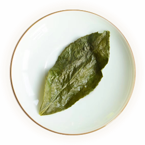 An opened green tea leaf on a small white dish