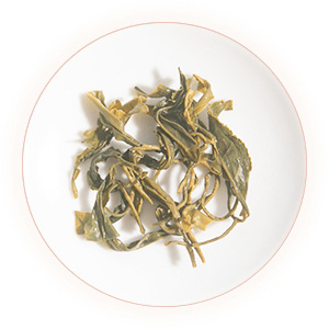 Inherited reference illustration for Weishan Maojian infused leaves