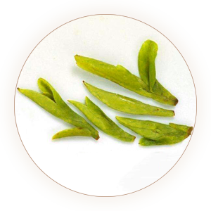 Inherited reference illustration for Wuniuzao infused leaves