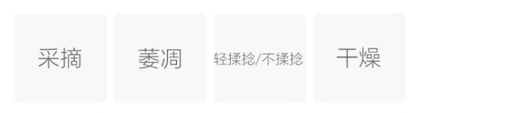 Original Chinese-labelled Xinyang White Tea process illustration