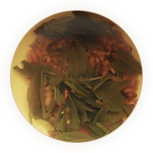 Inherited reference illustration for Genmaicha infused leaves
