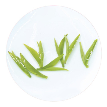 Inherited reference illustration for Yangtian Xuelü infused leaves