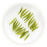 Inherited reference illustration for Yibin Queshe infused leaves