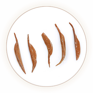 Inherited reference illustration for Yixing Black Tea infused leaves