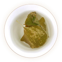 Inherited reference illustration for Ginkgo Leaf Tea infused material