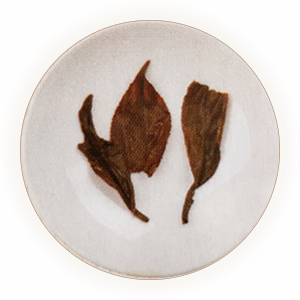 Inherited reference illustration for Yingde Black Tea infused leaves