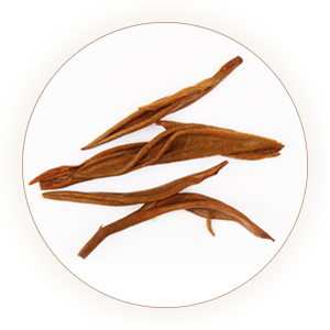 Inherited reference illustration for Yinghong No. 9 infused leaves