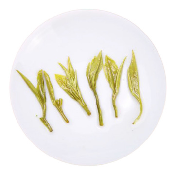 Inherited reference illustration for Yongxi Huoqing infused leaves