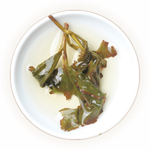 Inherited illustration of infused Zhangping Shuixian leaves