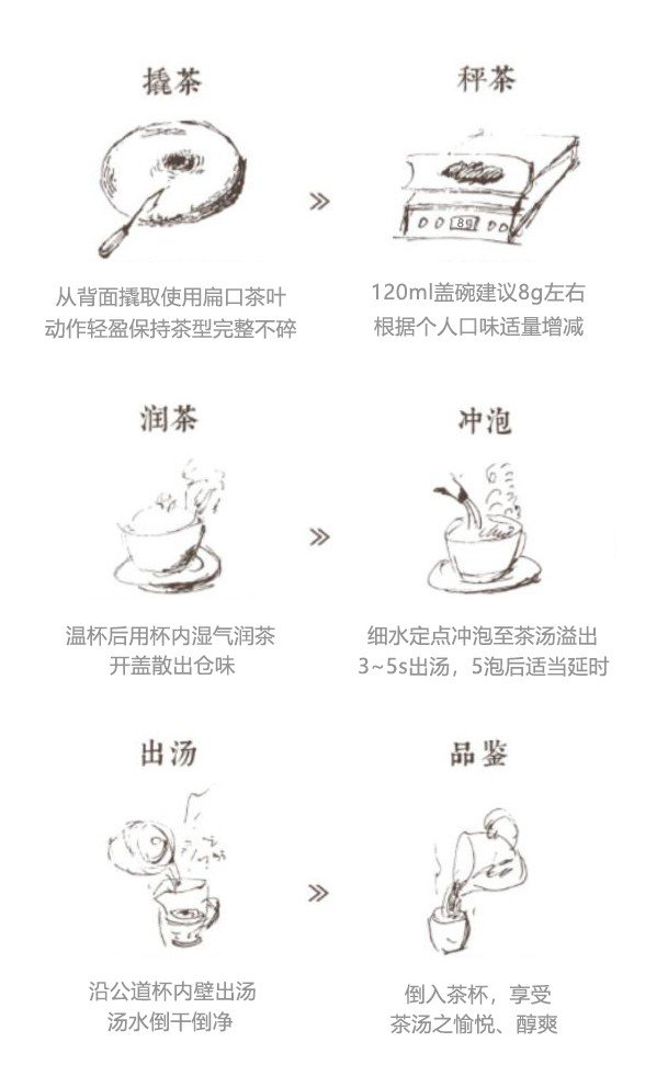 Original Chinese-labelled Bamboo-Tube Tea (Zhu Tong Cha) brewing illustration with English conditions
