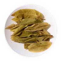 Inherited reference illustration for Bamboo-Tube Tea (Zhu Tong Cha) infused leaves